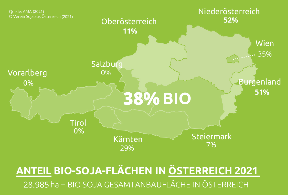 Die Grafik zeigt eine Österreichkarte mit dem Anteil der Bio-Soja-Produktion in den einzelnen Bundesländern. Die größten Bio-Soja-Anbaugebiete sind Niederösterreich (52 Prozent) und das Burgenland (51 Prozent). Es folgen Kärnten (29 Prozent), Wien (35 Prozent), Oberösterreich (11 Prozent) und die Steiermark (7 Prozent). In Salzburg, Tirol und Vorarlberg wird kein Bio-Soja angebaut. Insgesamt beträgt der Anteil von Bio-Soja am Gesamt-Soja-Anbau in Österreich 38 Prozent.